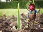 Happy Radish Farmer