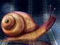 Slow Snail