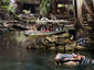 Jungle Cruise