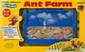 ant farm