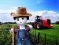 Farmer_teddy