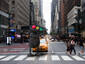 The Crosswalk Guardian