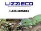 LIZZIECO Insurance