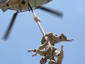 Rope climbing helicopter