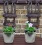 Hanging Baskets