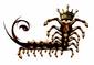 Scorpede King