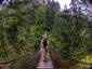 on a wooden bridge