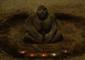 mystical Budha(GIF)