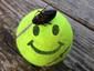 Dead Bug on Smiley Face.