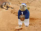 Prairie Dog Games