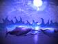 Dolphins in Moonlight