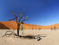 Western Desert