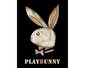 PlayBunny