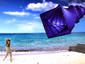 A kite at the beach