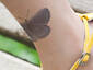 Butterfly Tattoo