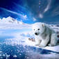 Arctic Dreamer