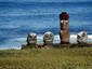 Easter Island Birds