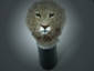 Lion Brush