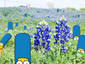 Springfield Bluebonnets