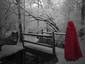 Red riding hood