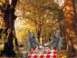 Fall Picnic