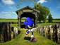 Sonic The Hedgehog