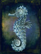 Seahorse