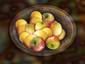 Bowl with fruit