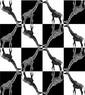 Trippy Giraffes