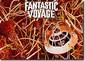 FANTASTIC VOYAGE