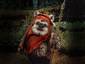 EWOK VILLAGE 