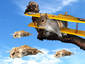 Squirrel-plane