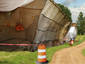 Elephant Mating Tents