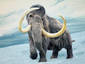 The Woolly Mammoth