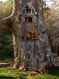 Squirrel House 