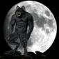 Werewolf