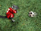 Squirrel Soccer