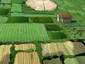 Farmlands