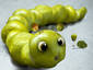 Larva