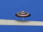 Spinning top