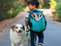 Boy, Dog, Shoes