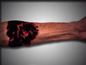 Rose Tattoo