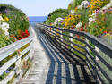 Seaside Walkway