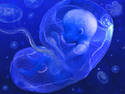 Amniotic fluid