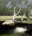 La Brea Tar Pits