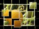 squash puzzle