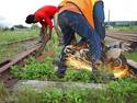 Track cutting