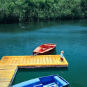 On The Dock