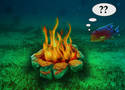 Underwater Campfire