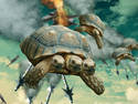 Raining Turtles!!!